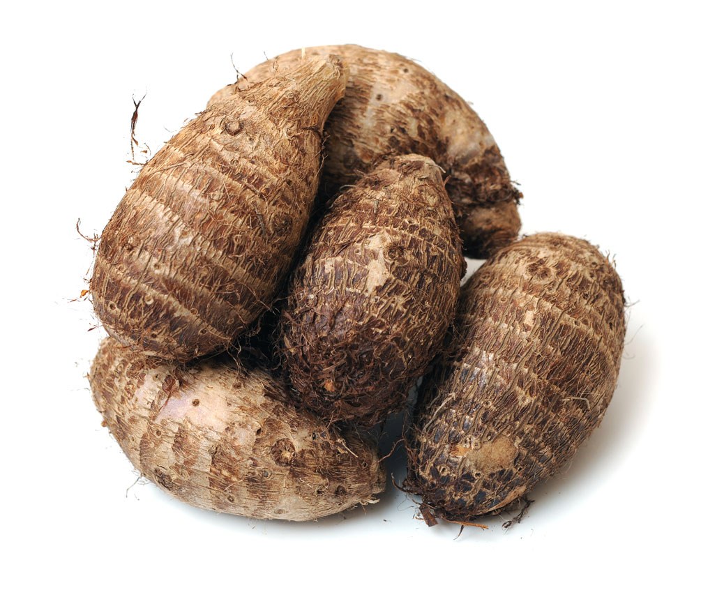 Dioscorea Shan Yao Und Andere Knollen Complemedis dioscorea-shan-yao-und-andere-knollen-complemedis